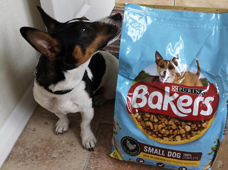 Bakers Complete Dog Food Purina UK